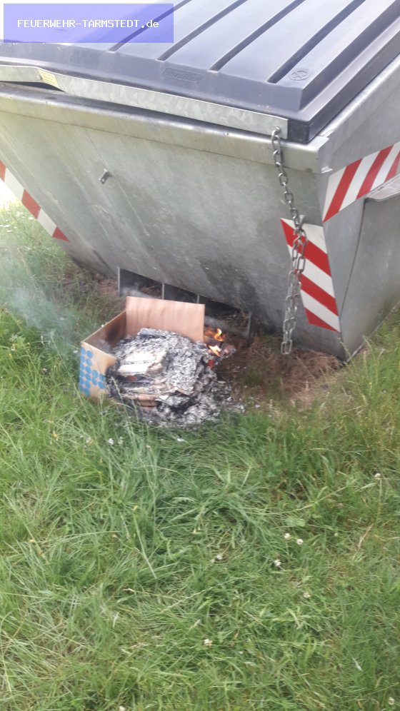 F1 - Brennt Müllcontainer